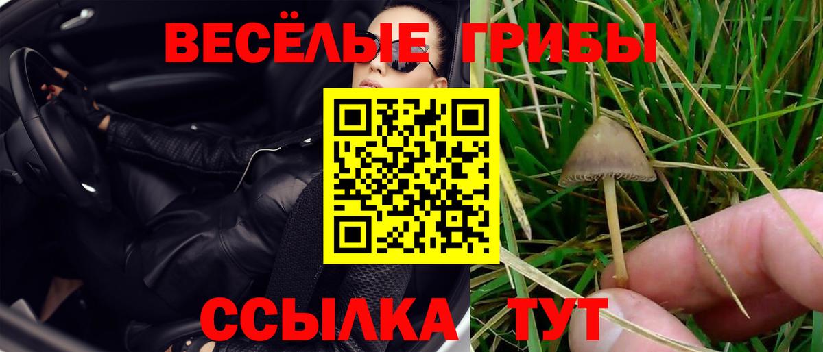 Псилоцибиновые грибы MAGIC MUSHROOMS  Галлюциногенные грибы Psilocybine cubensis  Вход с VPN  Среднеуральск 