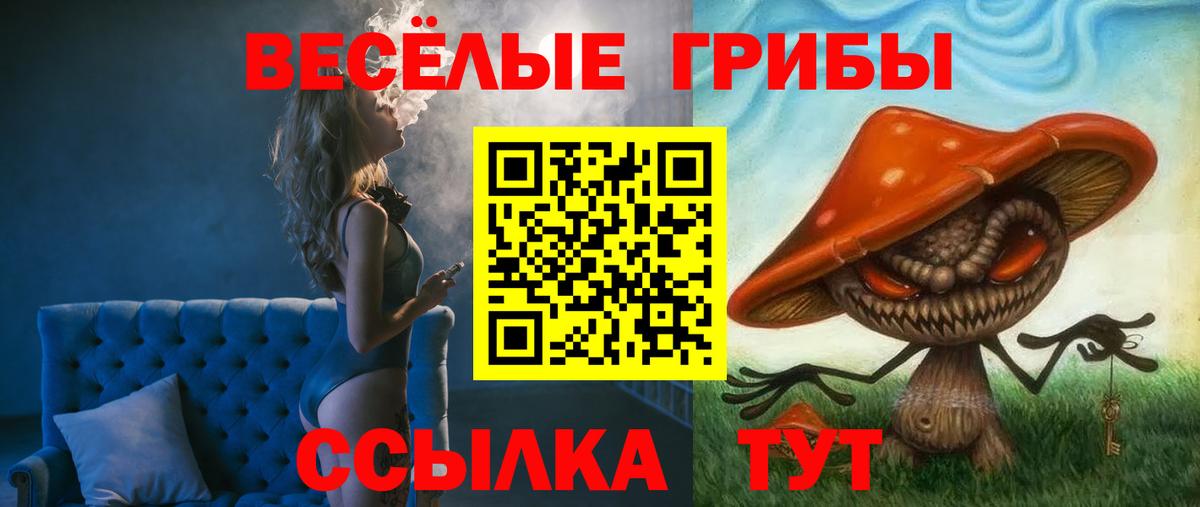 Галлюциногенные грибы мухоморы Среднеуральск